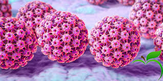 ویروس HPV و بیماریهای مربوط به آن